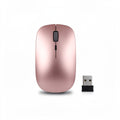 Kompakte Reise-Bluetooth-Maus - principal