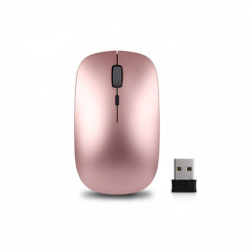 Kompakte Reise-Bluetooth-Maus - principal